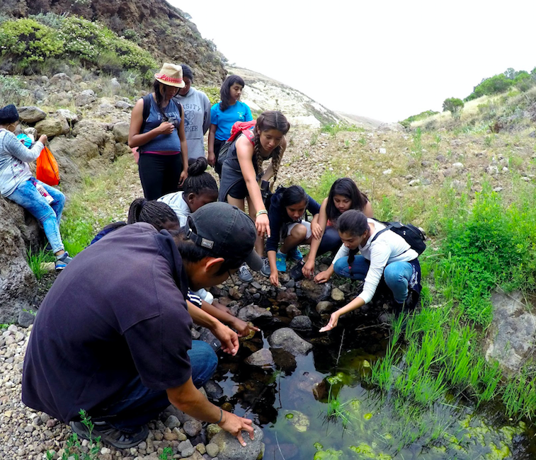 Screen Shot 2018-11-02 at 2.57.32 PM