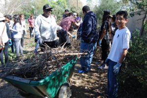 GAI_BeetleCleanup