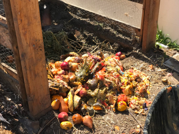 Screen Shot 2019-10-01 at 4.42.15 PM