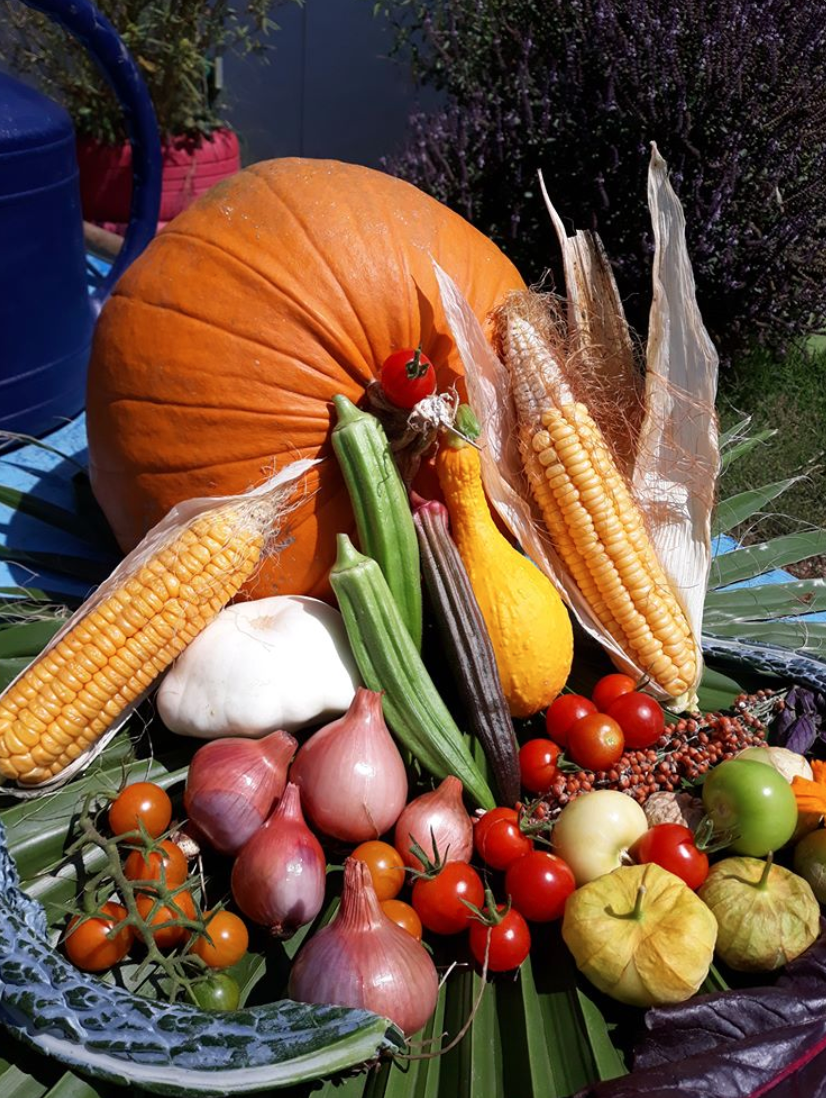 Screen Shot 2020-10-07 at 1.02.11 PM