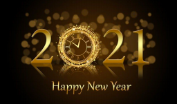 Screen Shot 2021-01-12 at 5.33.49 PM