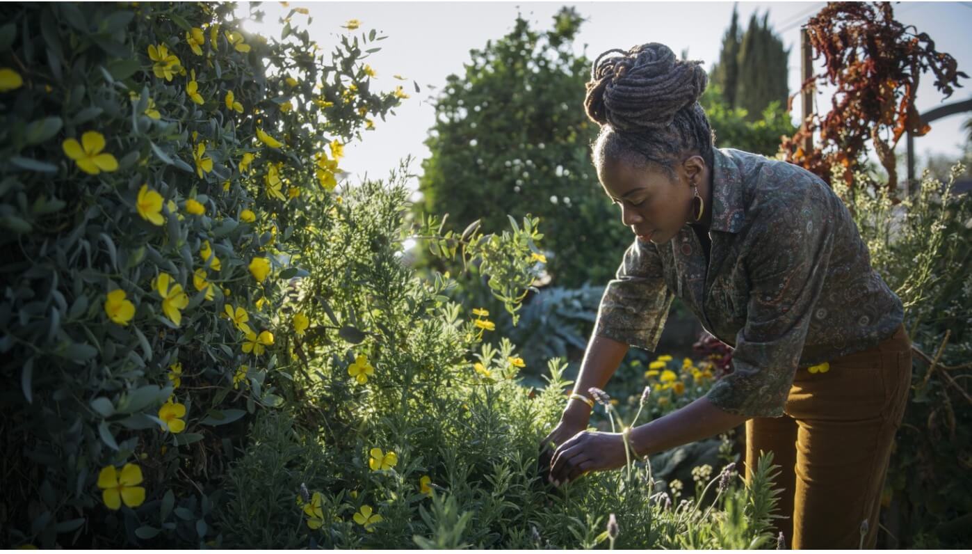 Screen Shot 2021-06-07 at 10.05.51 AM