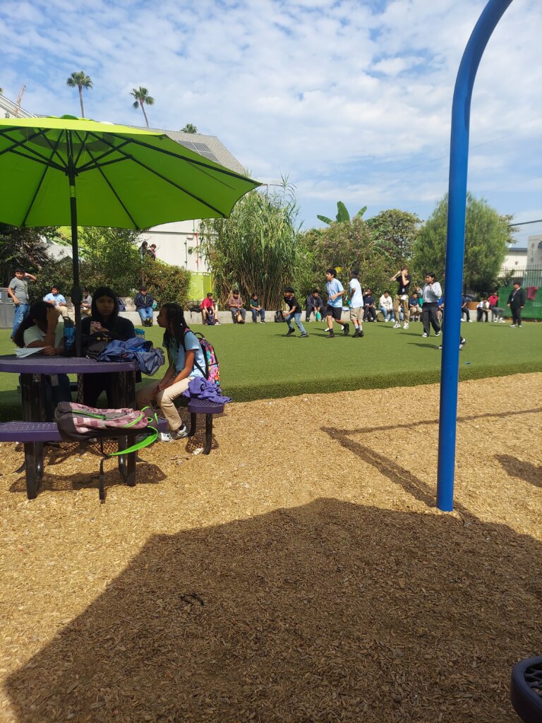 Students eating lunch at picnic tables beside the campus lawn and playground