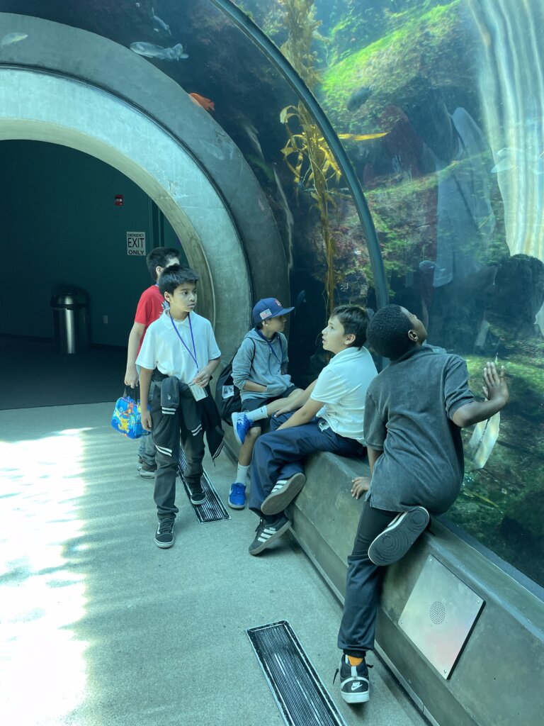 Students exploring an underwater tunnel exhibit at an aquarium