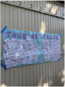 Student-made True or False myth-busting board on campus